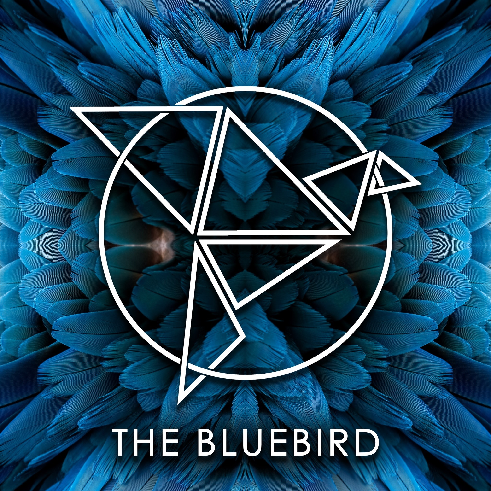 BlueBird Nightclub
